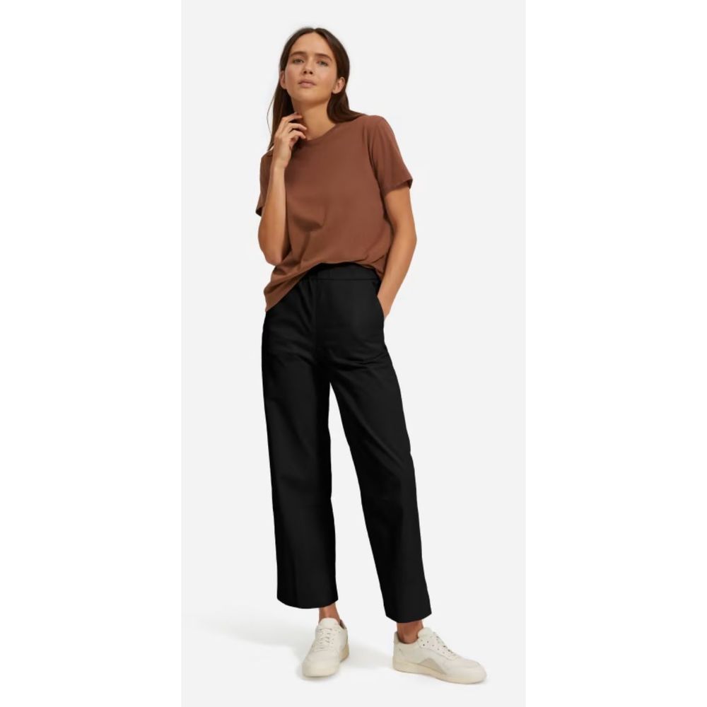 Everlane Black Wide-Leg Pants with Brown Top